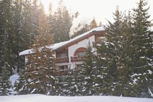 冬天的Hotel Waldhuus