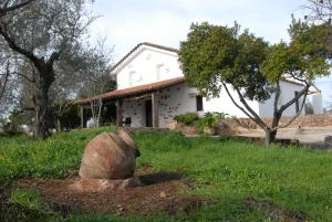 A garden outside Finca Horno de Cal