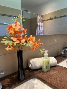 Φωτογραφία από το άλμπουμ του VILLA FLEUR D'EPICES σε Richeplaine