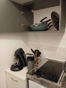 Kuchyň nebo kuchyňský kout v ubytování FORUM 134, 36 m2 en plein centre ville + 12 fotografií