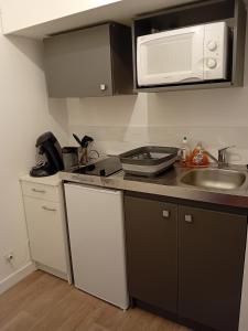 Η κουζίνα ή μικρή κουζίνα στο FORUM 134, 36 m2 en plein centre ville