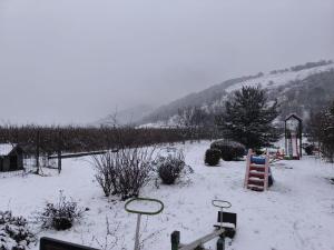 a yard covered in snow with trees and bushes at Pensiunea Daria in Căşeiu +30 photos