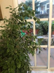 Billede fra billedgalleriet på Don Antonio y Carmen i Tarragona