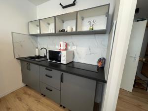Apartmán Michalovce so súkromným parkingom的厨房或小厨房