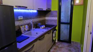 a small kitchen with a sink and green walls at Apartament - Lisa in Budva