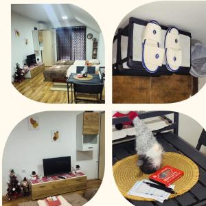 TV a/nebo společenská místnost v ubytování Apartman Centar Strpce