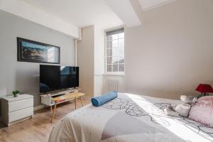 TV a/nebo společenská místnost v ubytování Appartement de caractère hyper centre