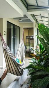 Fotografie z fotogalerie ubytování Selva House v destinaci Medellín