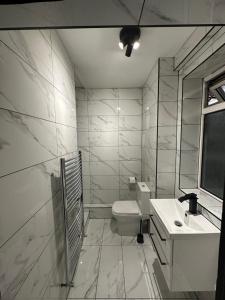 a white bathroom with a toilet and a sink at 2 Bedroom flat by London Bridge & The Shard in London