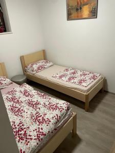 Voodi või voodid majutusasutuse Apartma Šohen toas