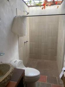 a bathroom with a white toilet and a shower at Casa Hotel Villa Ronda in Barichara
