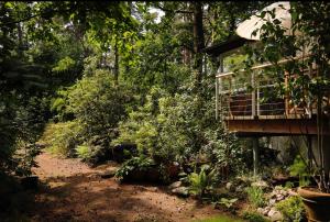 a path in a garden with a bird cage at Waldhaus am Meer in Lubmin