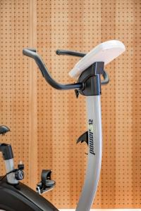 Fitness centrum a/nebo fitness zařízení v ubytování Seehüter's Hotel Seerose