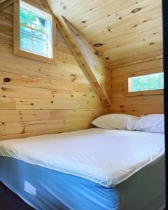 a bed in a log cabin with two windows at Off Grid Wildwood Bunkies in Bailieboro +20 photos