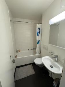 Koupelna v ubytování Apartment in Basel