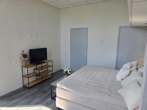 TV a/nebo společenská místnost v ubytování Hart van Warder