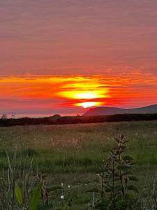 a sunset in a field with the sun setting at Meadow & Tide in Saint Merryn