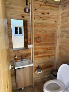 プンタ・カナにあるVilla Paraisoのトイレと洗面台付きのバスルーム