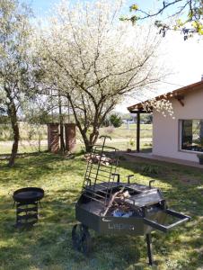 O grădină în afara One Week Hospedaje- Hostel +34 fotografii