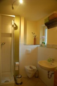 een badkamer met een toilet, een wastafel en een douche bij Ferienwohnung Katzstein in Cunnersdorf