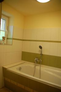 een badkamer met een bad en een douche bij Ferienwohnung Katzstein in Cunnersdorf