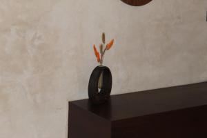 Fotografie z fotogalerie ubytování Casona La Jacinta v destinaci Sisal