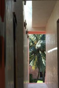 Fotografie z fotogalerie ubytování Casona La Jacinta v destinaci Sisal
