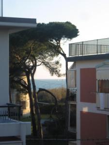 マリネッラ・ディ・サルザーナにあるVilla Manuela Apartmentの海を背景にした建物前の木
