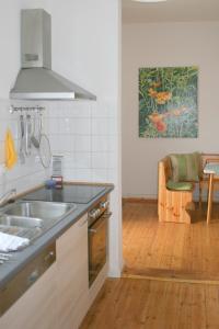 a kitchen with a sink and a counter top at Kleiner Herrenhof in Worms