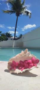 A piscina localizada em Hotel Coral ou nos arredores mais 37 fotos