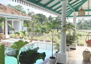 a courtyard with a swimming pool and potted plants at Marshmellow Surf Camp Sri Lanka in Ahangama