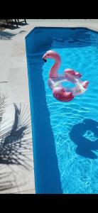 Kolam renang di atau dekat dengan Casa Blanca-Lake side with pool