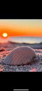 Fotografie z fotogalerie ubytování Charming villa, stylish decor with Jacuzzi v destinaci Præstø