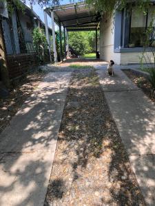 Κήπος έξω από το Monoambiente 4 blocks away from the beach!
