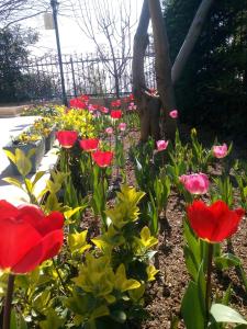 A garden outside Pendik Marine Hotel