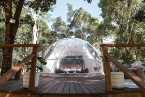 Upper TallebudgeraRESET Tallebudgera Valley的树木环绕的木质甲板上的圆顶帐篷