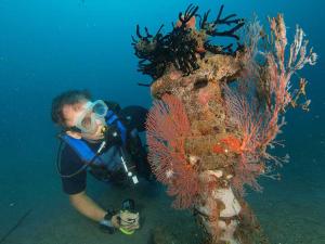 a man in a scuba gear next to a coral reef at Reef Seen Divers' Resort in Pemuteran +57 photos