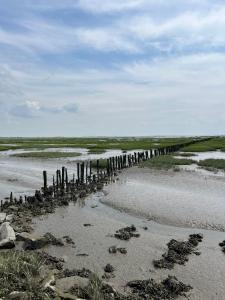 a beach with a group of wooden posts in the sand at Ferienhaus 'Welle und Watt' - 2024 neu renoviert in Friedrichskoog-Spitz