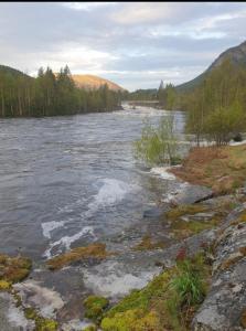 a view of a river with trees and water at Holidays 4 rooms in Gol