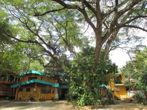 a large tree in front of a building at Saranga Holiday Inn in Wellawaya