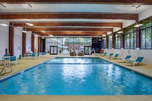 Bazén v ubytování DoubleTree by Hilton Hotel Denver nebo v jeho okolí