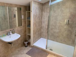 a bathroom with a shower and a sink at Field Cottage Bed and Continental Breakfast in East Harling
