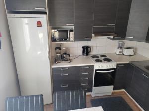 Kuchyň nebo kuchyňský kout v ubytování Lake Cottage Onnenranta + 16 fotografií