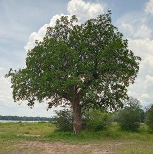 Příroda nedaleko penzionu