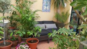 カターニアにあるCentro Storico B&Bのたくさんの植物が生い茂る部屋のソファ
