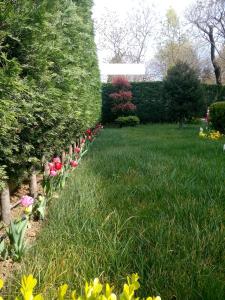 A garden outside Pendik Marine Hotel