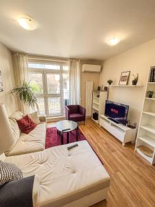 Una sala de estar con un sofá y un televisor. en Scandi Suite Business & Leisure, en Sofía