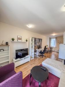 Una sala de estar con un sofá y un televisor. en Scandi Suite Business & Leisure, en Sofía 20 fotos más