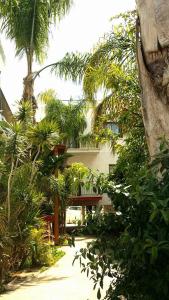 Κήπος έξω από το Milounapa