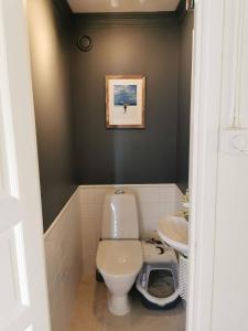 a bathroom with a toilet and a sink at Nice villa with sunny terrace, smaller pool jumping-pad in Stockholm +10 photos